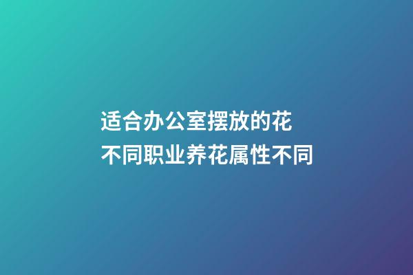 适合办公室摆放的花  不同职业养花属性不同